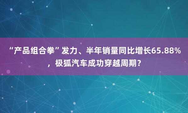 “产品组合拳”发力、半年销量同比增长65.88%，极狐汽车成功穿越周期？