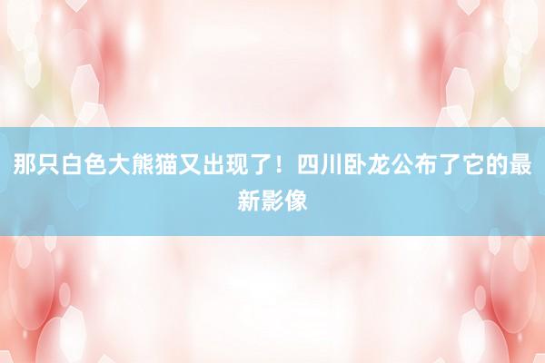 那只白色大熊猫又出现了！四川卧龙公布了它的最新影像