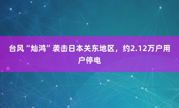 台风“灿鸿”袭击日本关东地区，约2.12万户用户停电