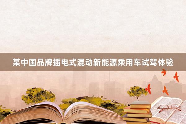 某中国品牌插电式混动新能源乘用车试驾体验