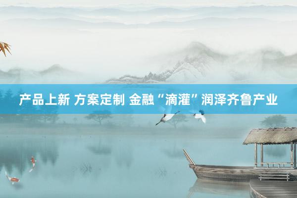 产品上新 方案定制 金融“滴灌”润泽齐鲁产业