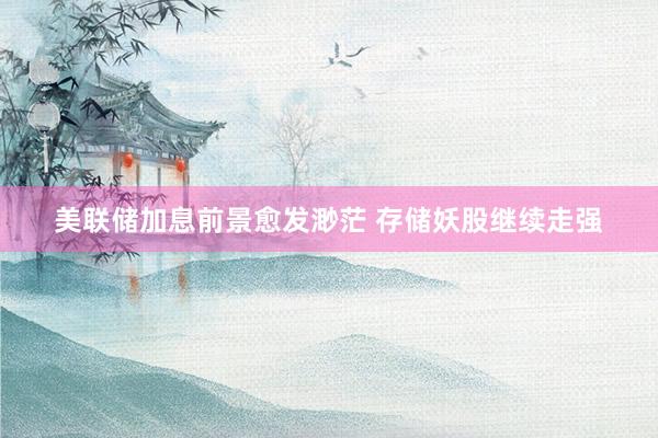 美联储加息前景愈发渺茫 存储妖股继续走强