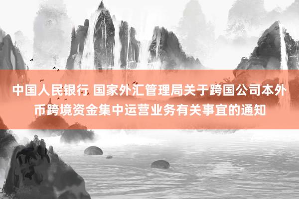 中国人民银行 国家外汇管理局关于跨国公司本外币跨境资金集中运营业务有关事宜的通知