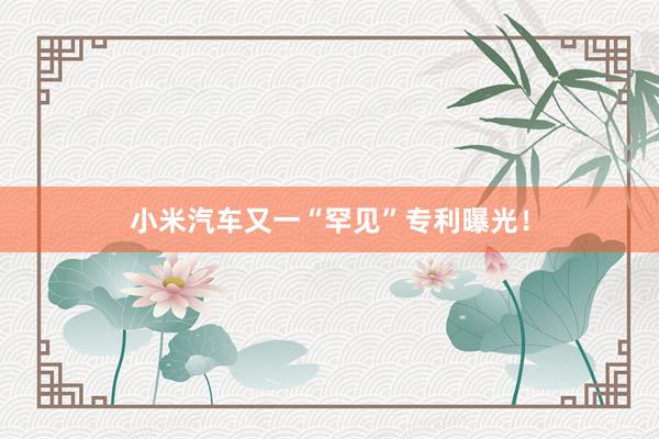 小米汽车又一“罕见”专利曝光！