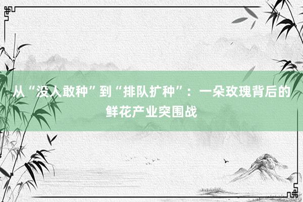 从“没人敢种”到“排队扩种”：一朵玫瑰背后的鲜花产业突围战
