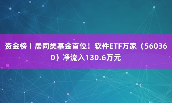 资金榜丨居同类基金首位！软件ETF万家（560360）净流入130.6万元