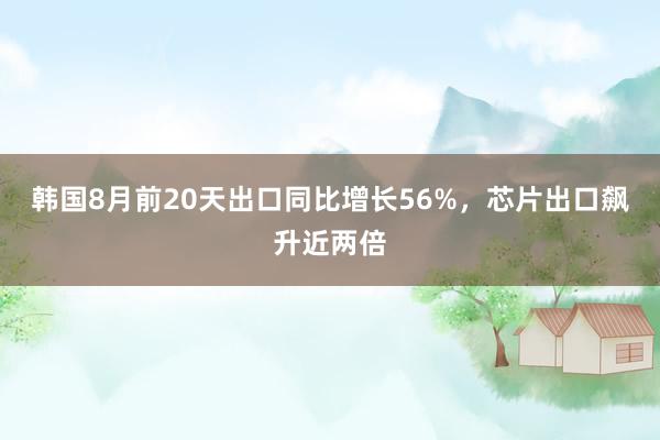 韩国8月前20天出口同比增长56%，芯片出口飙升近两倍