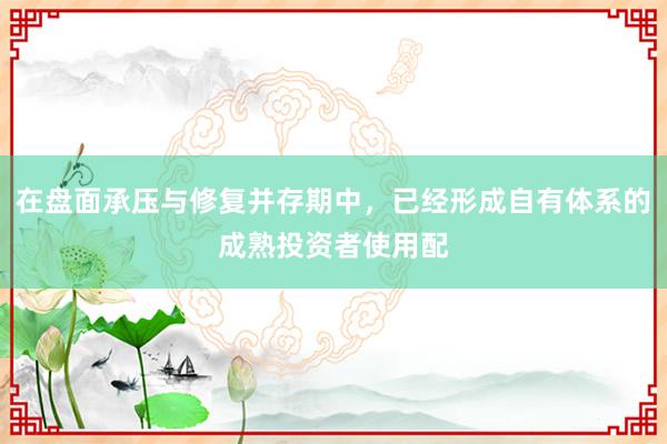 在盘面承压与修复并存期中，已经形成自有体系的成熟投资者使用配