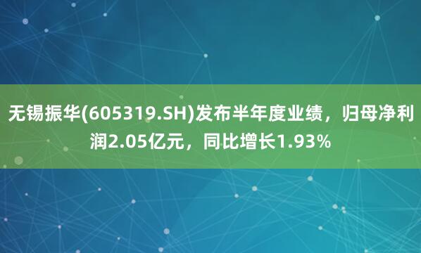 无锡振华(605319.SH)发布半年度业绩，归母净利润2.05亿元，同比增长1.93%