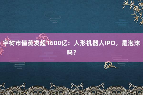 宇树市值蒸发超1600亿：人形机器人IPO，是泡沫吗？