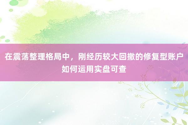 在震荡整理格局中，刚经历较大回撤的修复型账户如何运用实盘可查