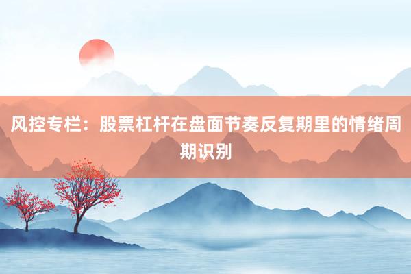 风控专栏：股票杠杆在盘面节奏反复期里的情绪周期识别