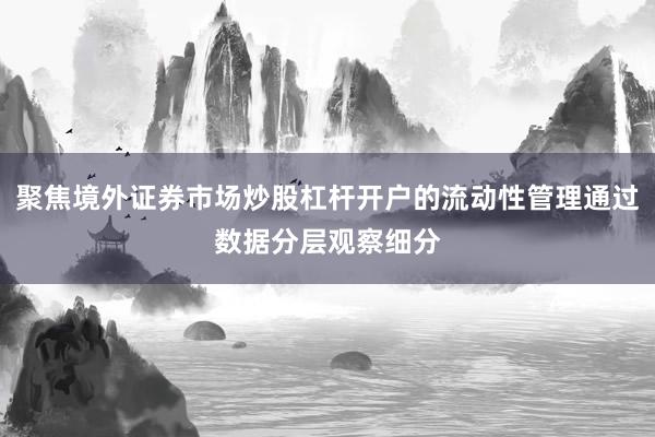 聚焦境外证券市场炒股杠杆开户的流动性管理通过数据分层观察细分