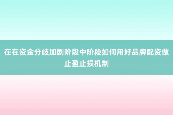 在在资金分歧加剧阶段中阶段如何用好品牌配资做止盈止损机制