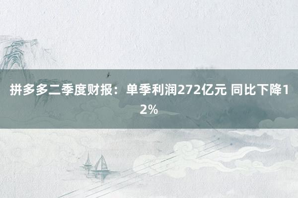 拼多多二季度财报：单季利润272亿元 同比下降12%