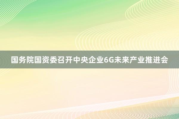 国务院国资委召开中央企业6G未来产业推进会