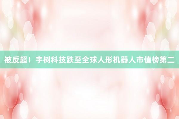 被反超！宇树科技跌至全球人形机器人市值榜第二