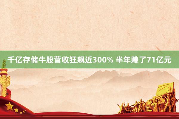 千亿存储牛股营收狂飙近300% 半年赚了71亿元