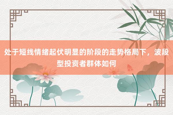 处于短线情绪起伏明显的阶段的走势格局下，波段型投资者群体如何