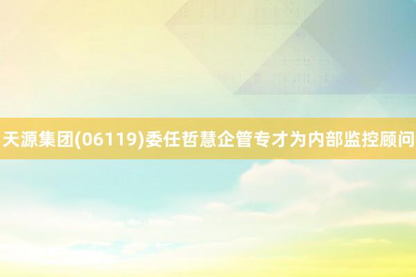 天源集团(06119)委任哲慧企管专才为内部监控顾问