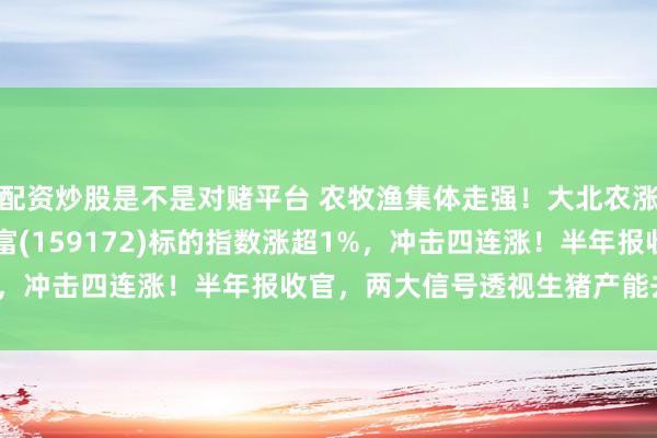 配资炒股是不是对赌平台 农牧渔集体走强！大北农涨超7%，养殖ETF汇添富(159172)标的指数涨超1%，冲击四连涨！半年报收官，两大信号透视生猪产能去化进程