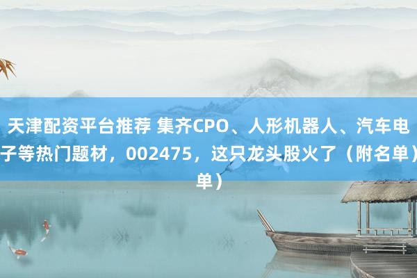 天津配资平台推荐 集齐CPO、人形机器人、汽车电子等热门题材，002475，这只龙头股火了（附名单）