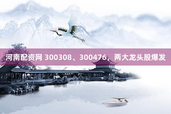 河南配资网 300308、300476，两大龙头股爆发