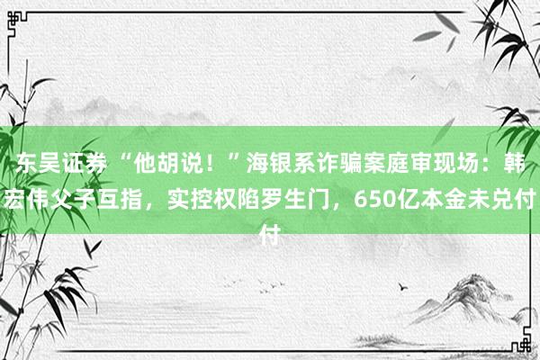 东吴证券 “他胡说！”海银系诈骗案庭审现场：韩宏伟父子互指，实控权陷罗生门，650亿本金未兑付