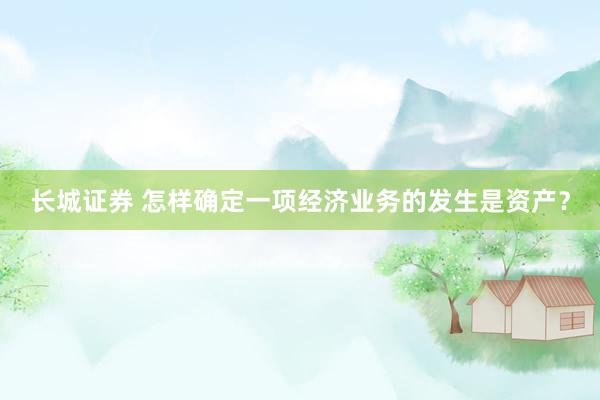 长城证券 怎样确定一项经济业务的发生是资产？