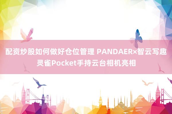 配资炒股如何做好仓位管理 PANDAER×智云写趣灵雀Pocket手持云台相机亮相