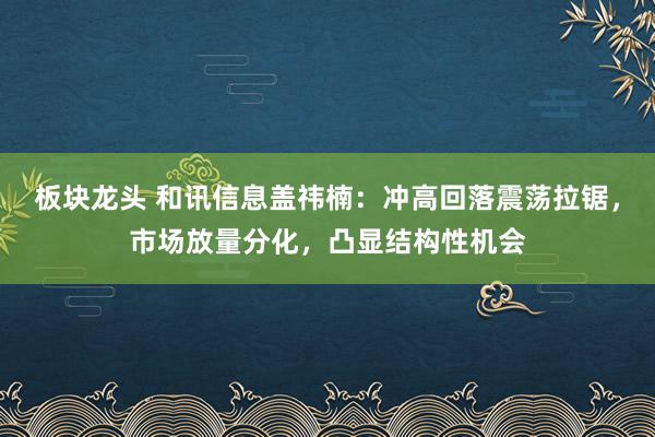板块龙头 和讯信息盖祎楠：冲高回落震荡拉锯，市场放量分化，凸显结构性机会