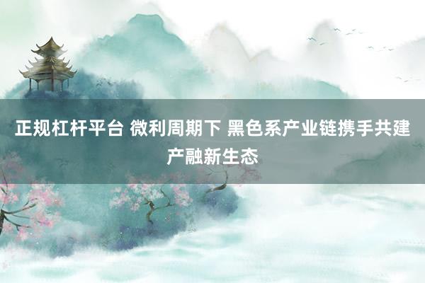 正规杠杆平台 微利周期下 黑色系产业链携手共建产融新生态
