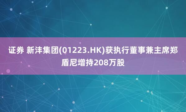 证券 新沣集团(01223.HK)获执行董事兼主席郑盾尼增持208万股