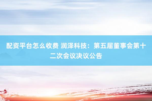 配资平台怎么收费 润泽科技：第五届董事会第十二次会议决议公告